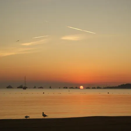 Marines De Cogolin, Neuf Face A La Plage, Climatisation, Wifi, Terrasse, Proche St Tropez *